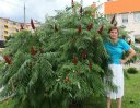 Ирина БАРЫШЕВА, журналист и фотограф